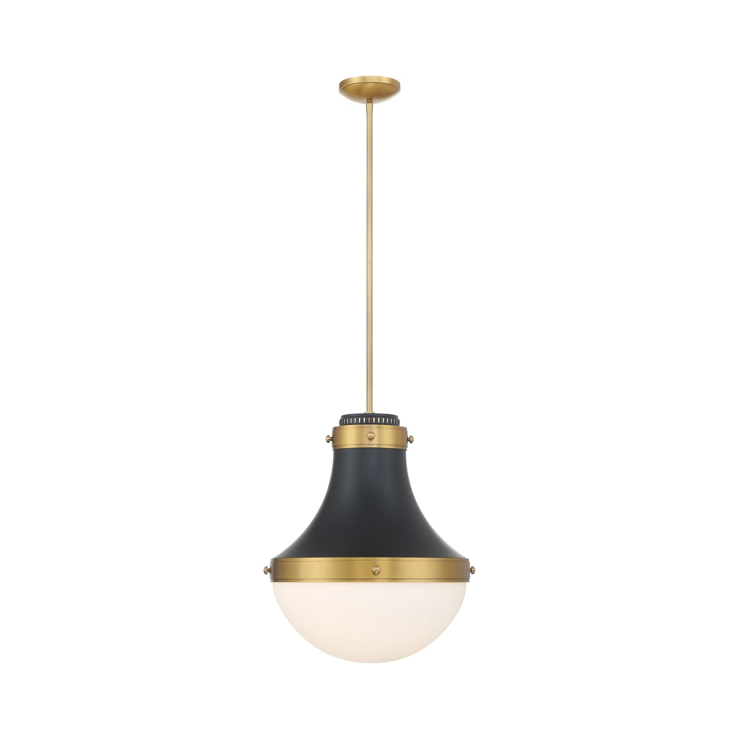 Purelight Pendant Light in Dark Matte Black.