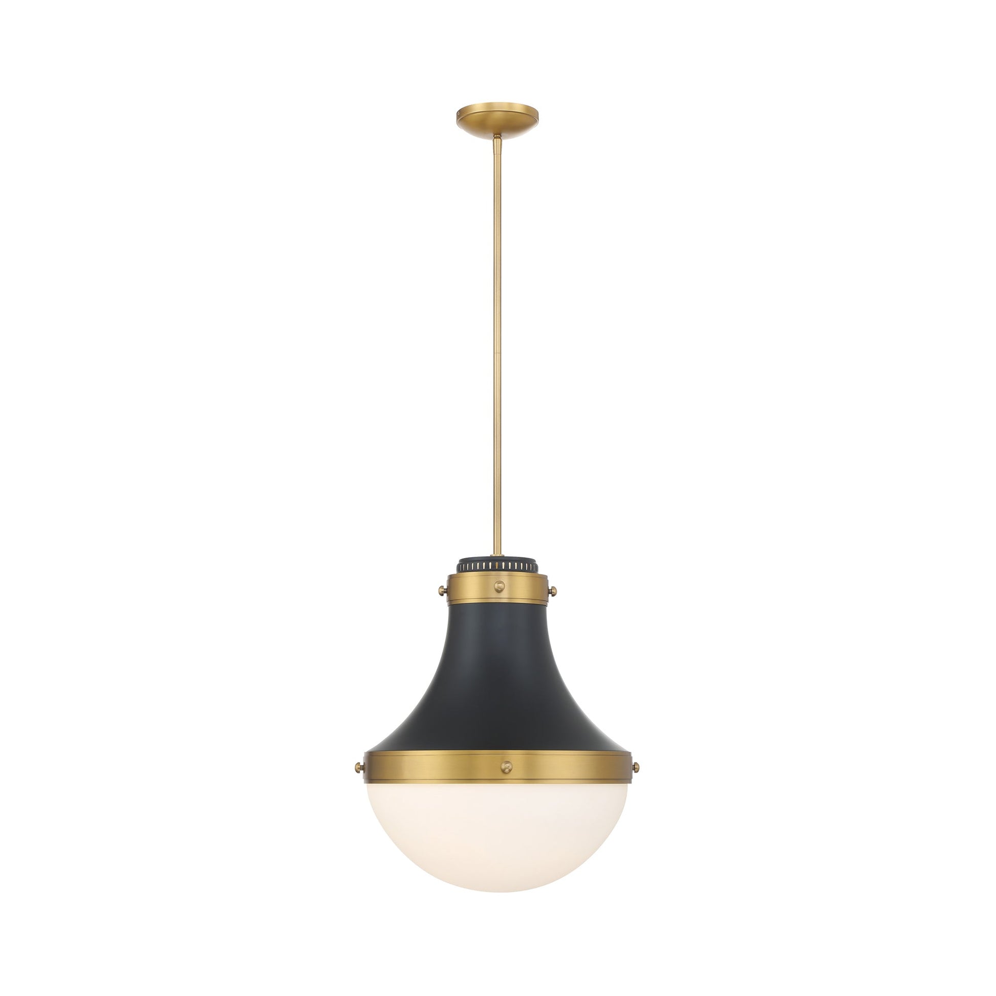 Purelight Pendant Light in Dark Matte Black.
