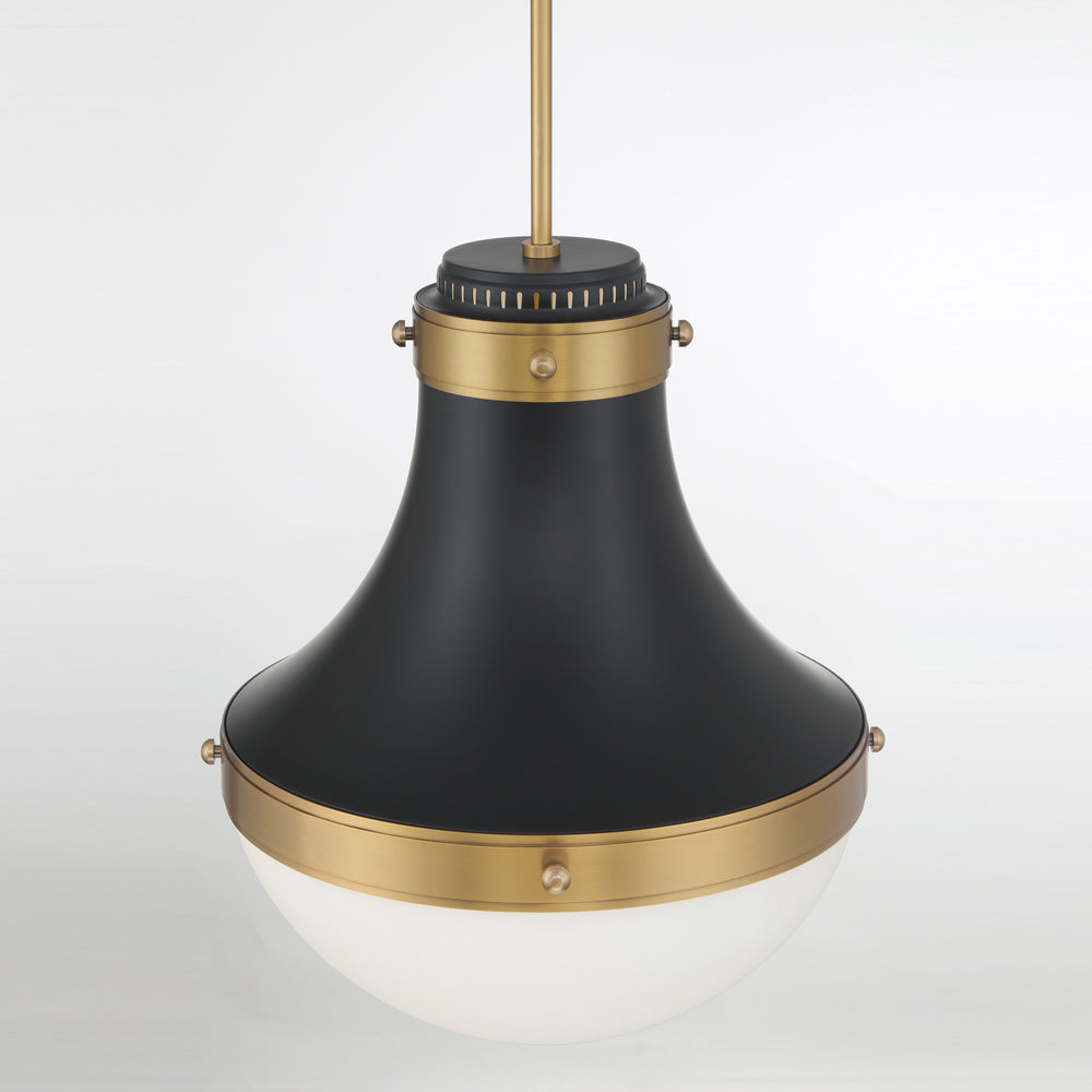 Purelight Pendant Light in Detail.