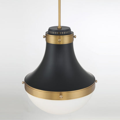 Purelight Pendant Light in Detail.