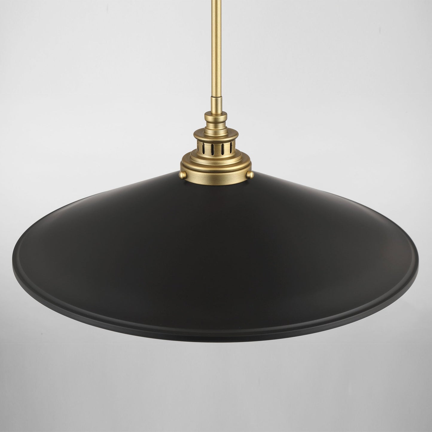 Segan Pendant Light in Detail.