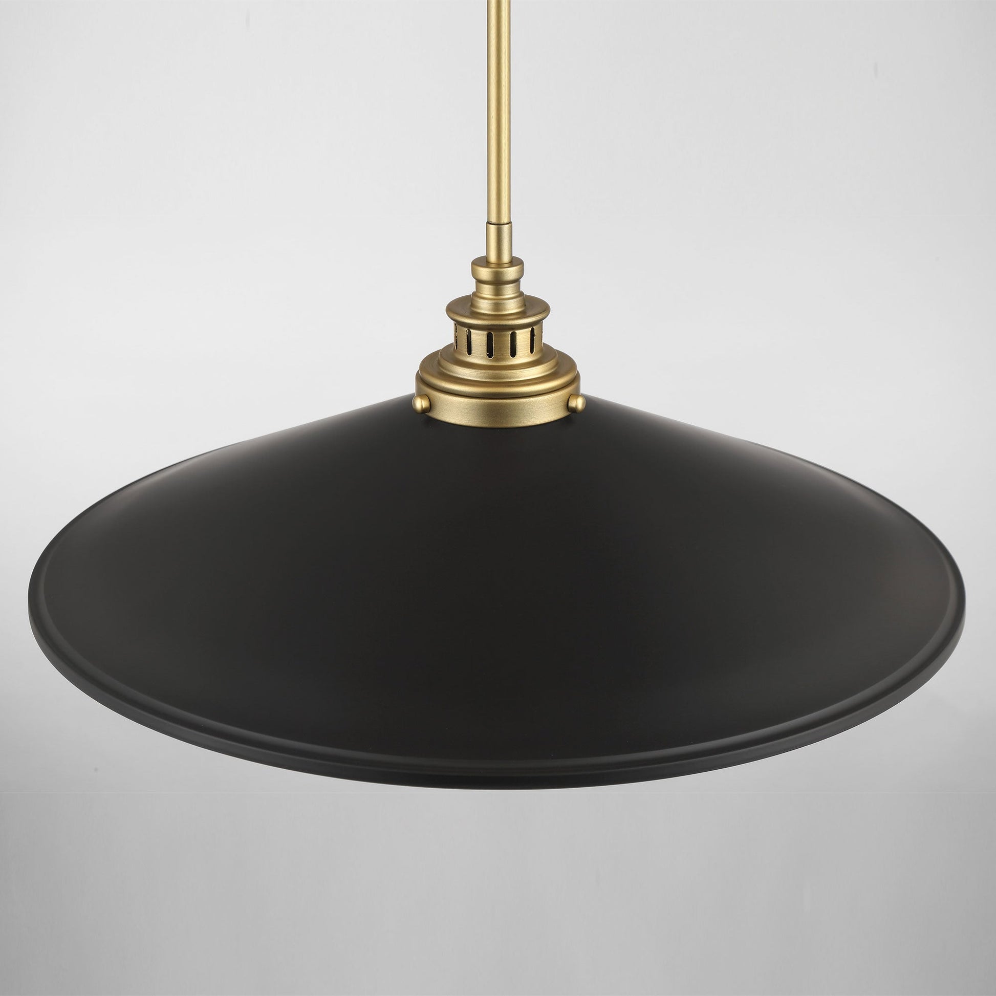 Segan Pendant Light in Detail.