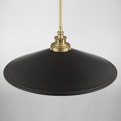 Segan Pendant Light in Detail.