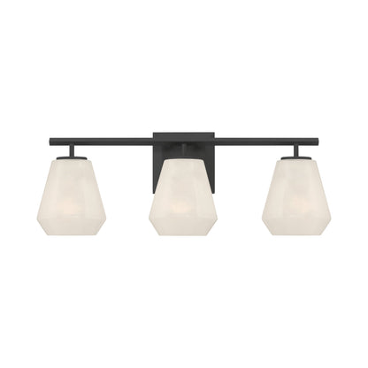 Siena Bath Vanity Light in Dark Matte Black (3-Light).