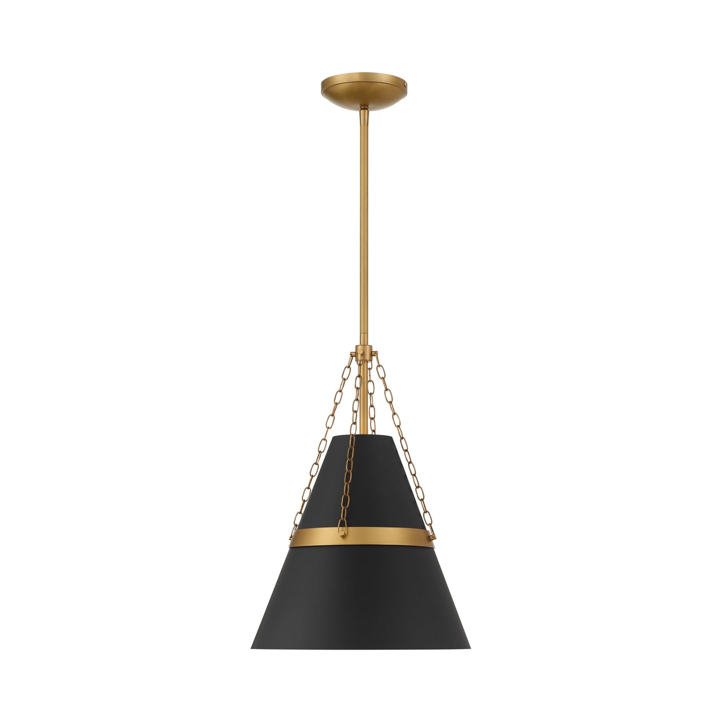 Springfield Pendant Light in Dark Matte Black.