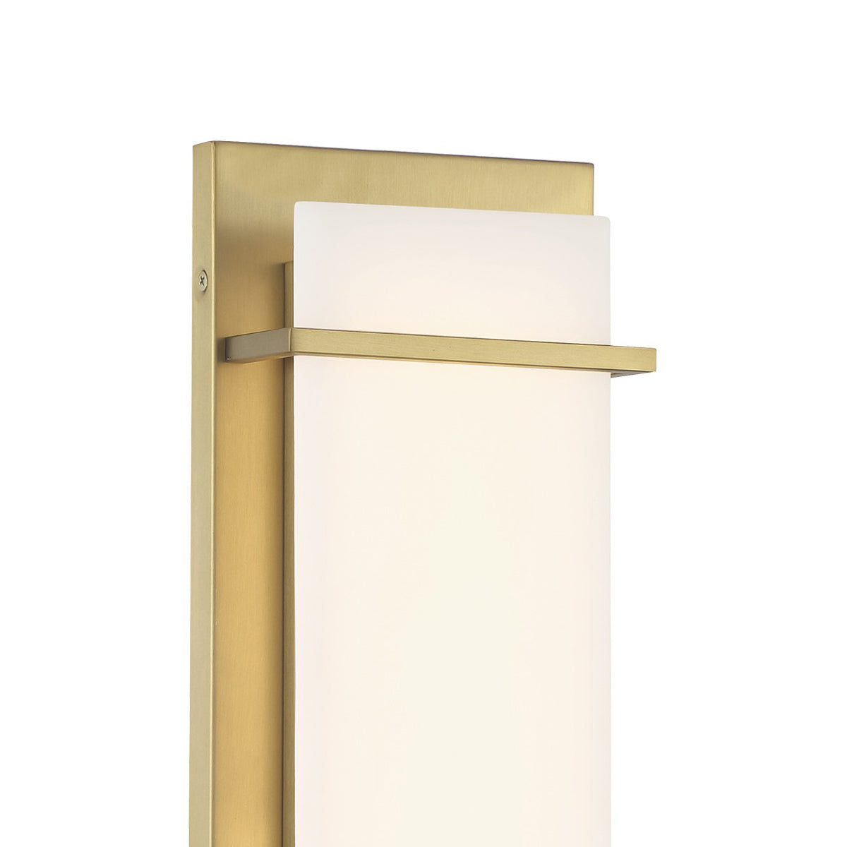Tarnos LED Wall Light in Detail.