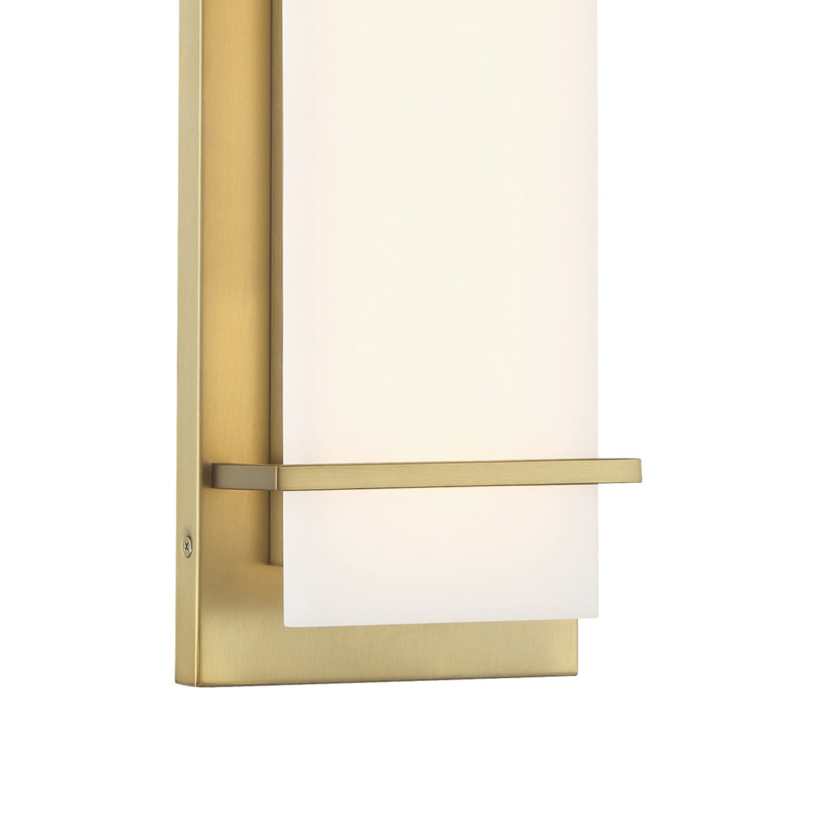 Tarnos LED Wall Light in Detail.