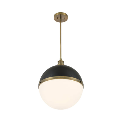 Vorey Pendant Light in Detail.