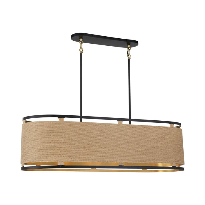 Windward Passage Linear Pendant Light in Coal and Soft Brass.