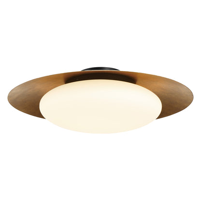 Zinola LED Flush Mount Ceiling Light (24-Inch).
