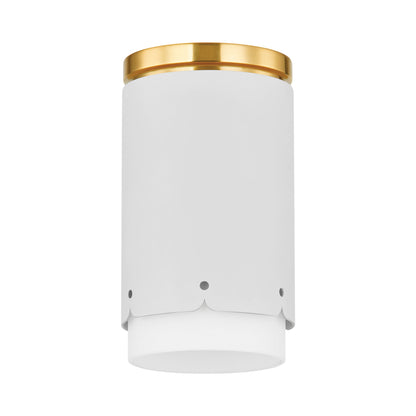 Asa Flush Mount Ceiling Light in Soft White.