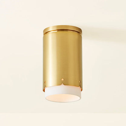 Asa Flush Mount Ceiling Light in Detail.
