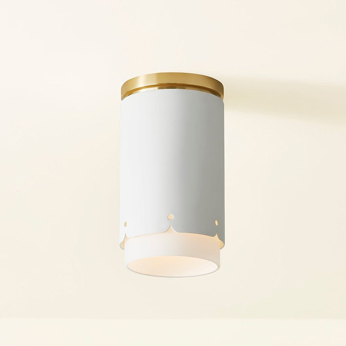 Asa Flush Mount Ceiling Light in Detail.