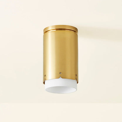Asa Flush Mount Ceiling Light in Detail.