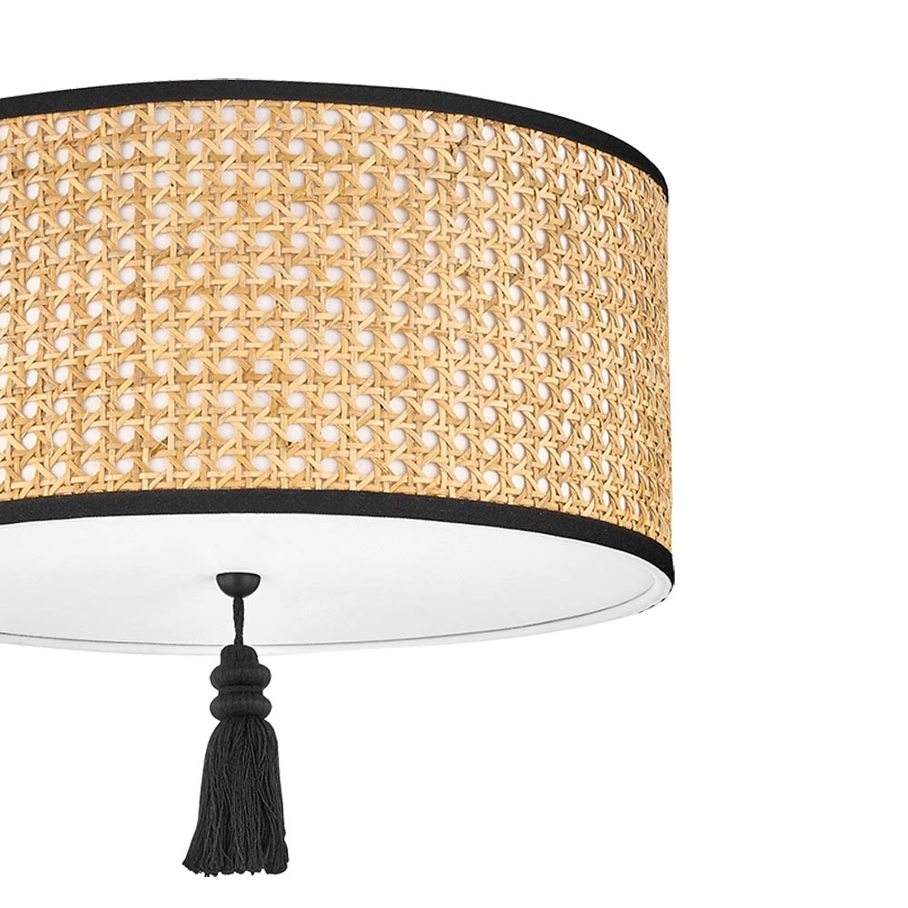 Dolores Flush Mount Ceiling Light in Detail.