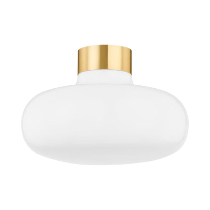 Eliana Flush Mount Ceiling Light.