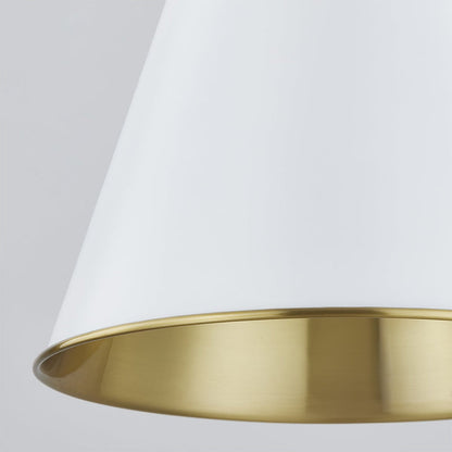 Fenimore Pendant Light in Detail.
