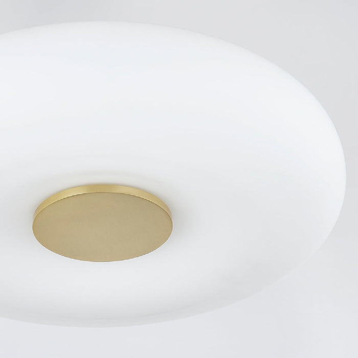 Imani LED Flush Mount Ceiling Light in Detail.
