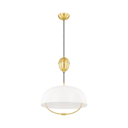 Liliana Pendant Light in Detail.