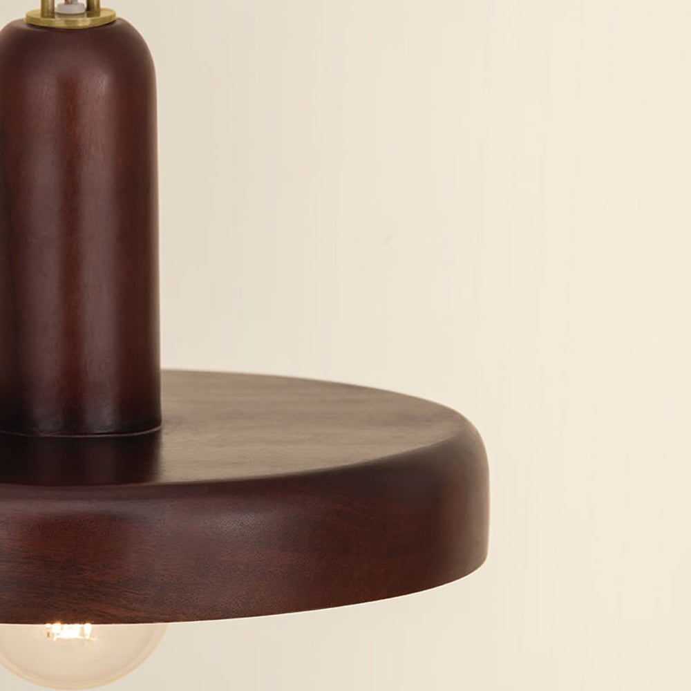 Scheana Pendant Light in Detail.