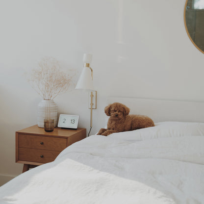 Willa Wall Light in bedroom.