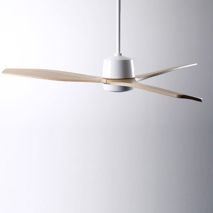 Arbor DC Ceiling Fan in Detail.