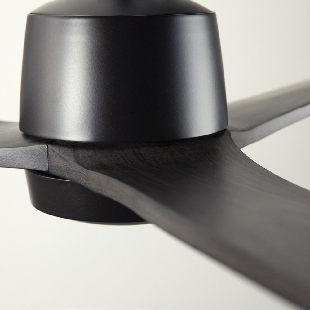 Arbor DC Ceiling Fan in Detail.