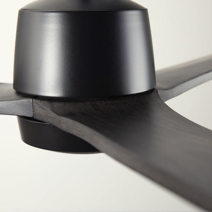 Arbor DC Ceiling Fan in Detail.