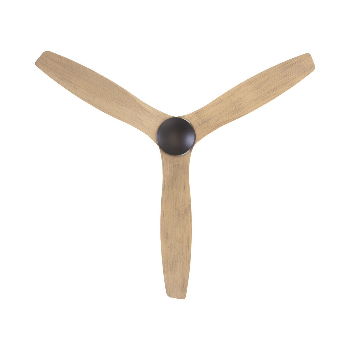 Arbor DC Ceiling Fan in Detail.