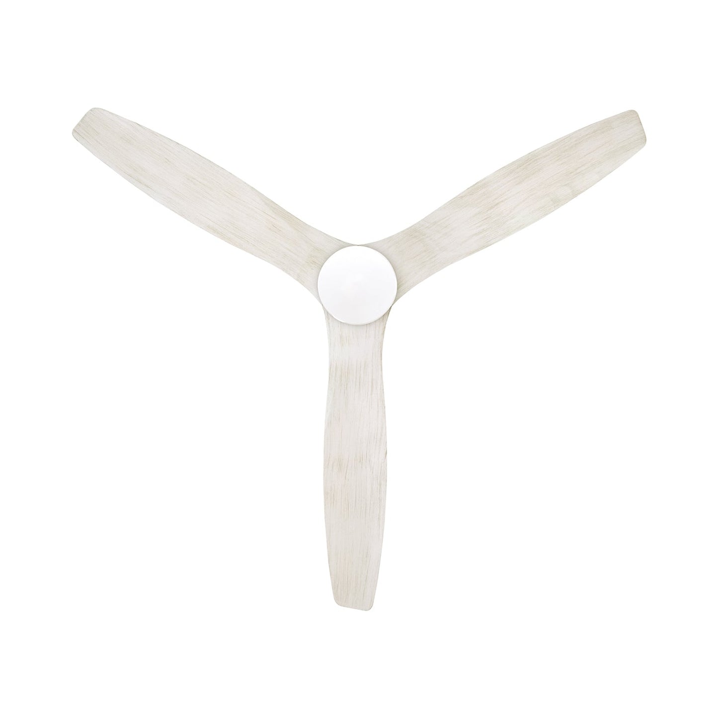 Arbor DC Ceiling Fan in Detail.