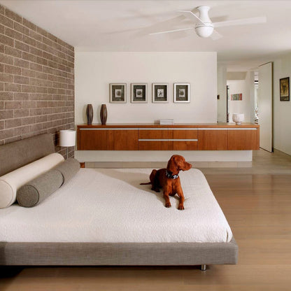 Ball 42-Inch Flush Mount Ceiling Fan in bedroom.