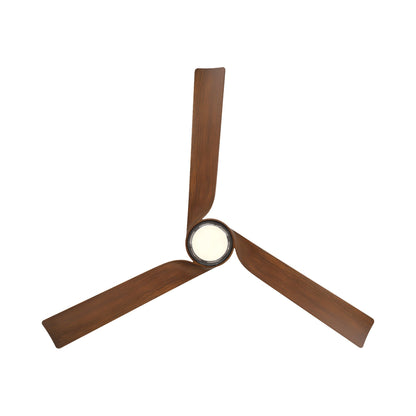 Chill Outdoor LED Ceiling Fan in Detail.