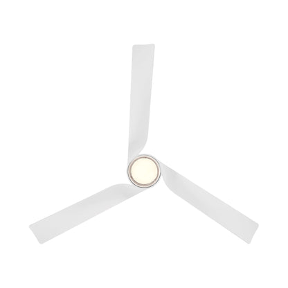 Chill Outdoor LED Ceiling Fan in Detail.