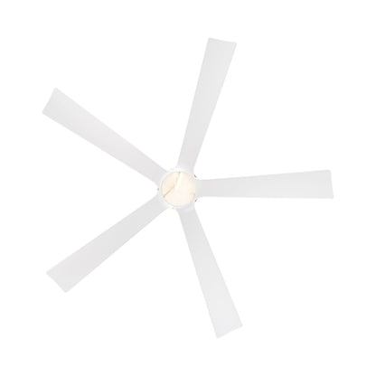Crown LED Ceiling Fan in Detail.