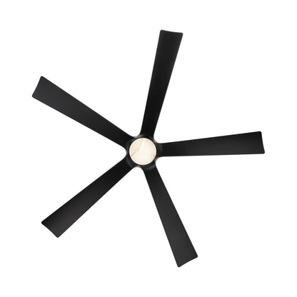 Crown LED Ceiling Fan in Detail.