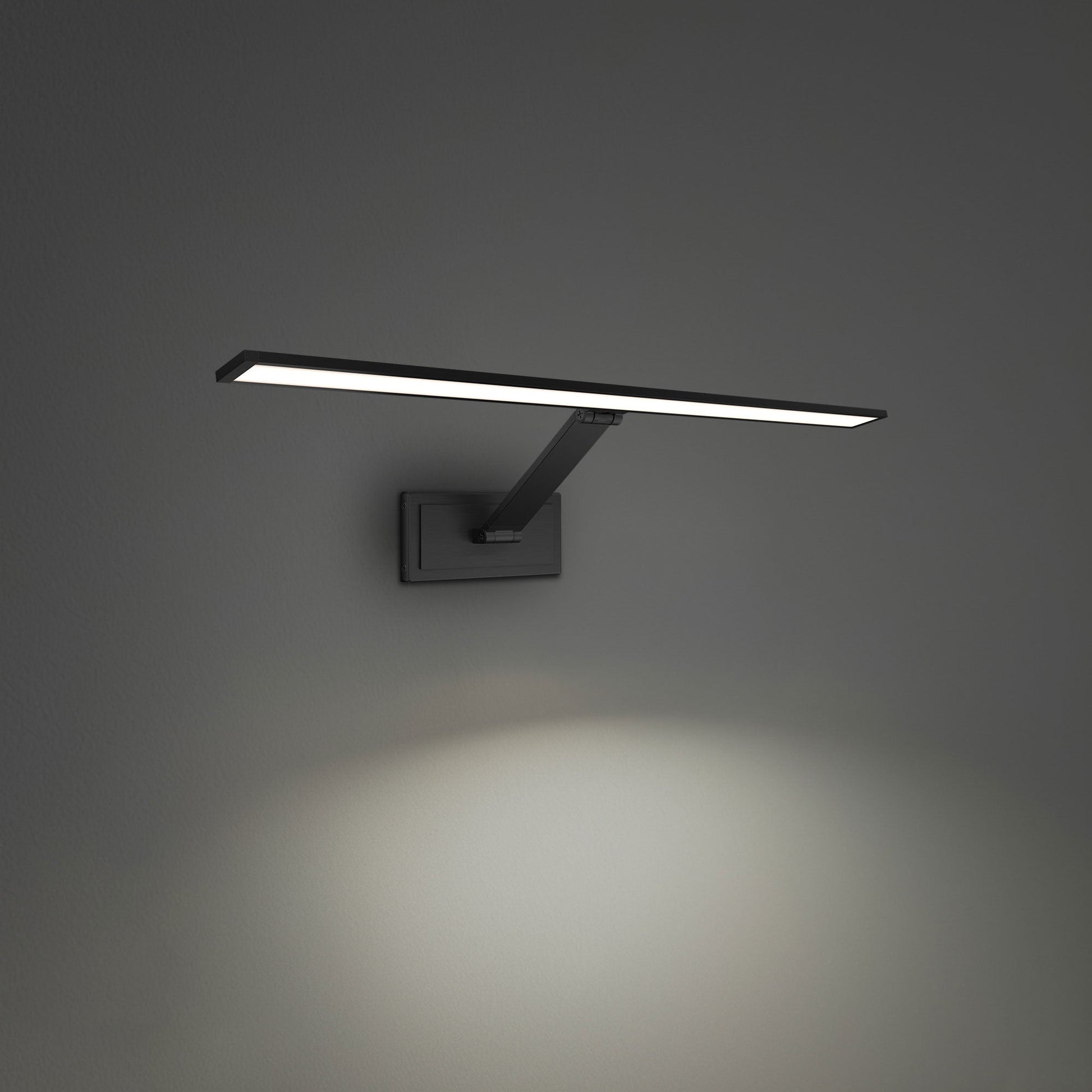 Diver LED Picture Light.