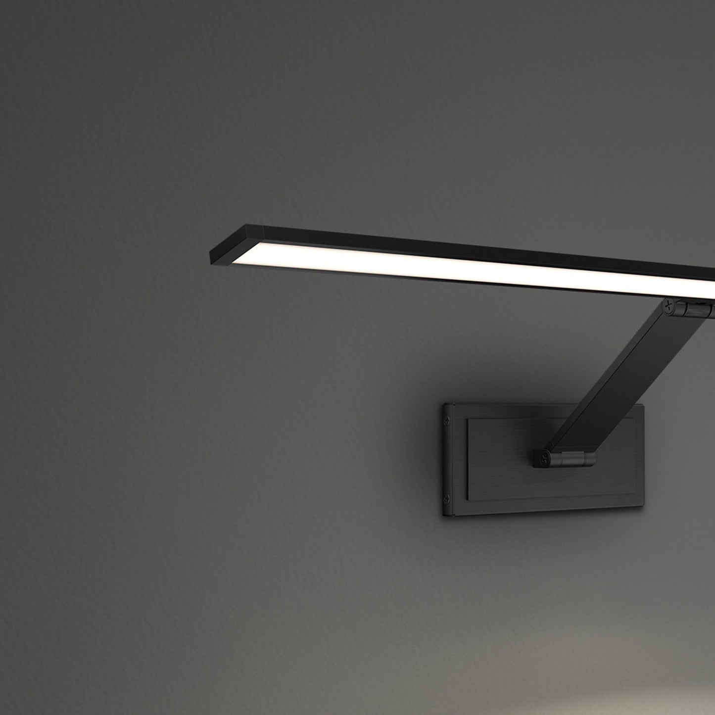 Diver LED Picture Light in Detail.