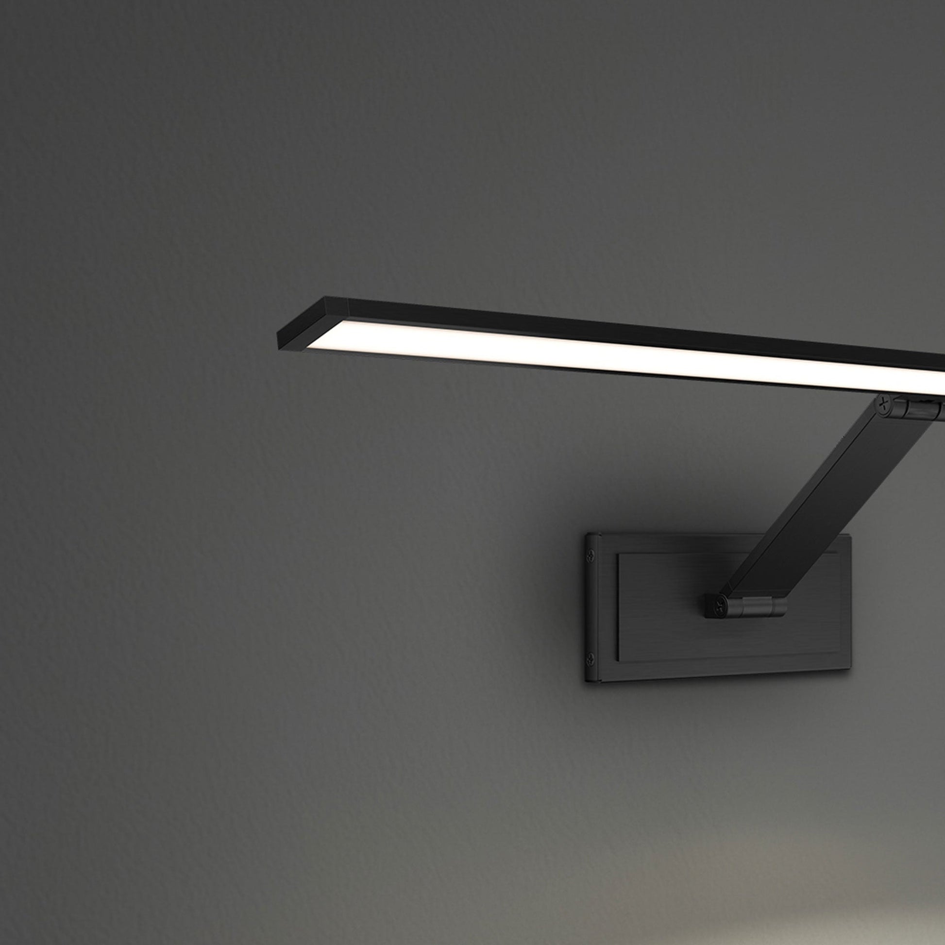 Diver LED Picture Light in Detail.