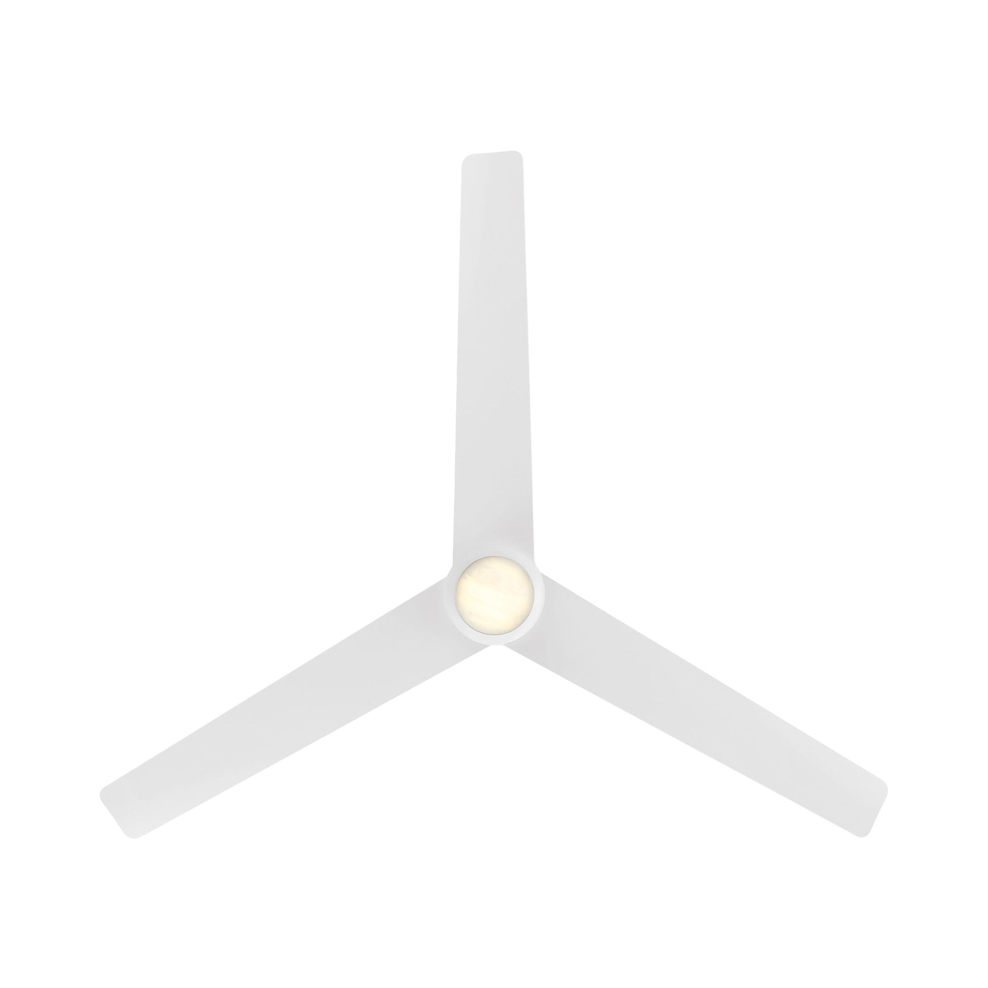 Pisces Outdoor LED Ceiling Fan in Detail.