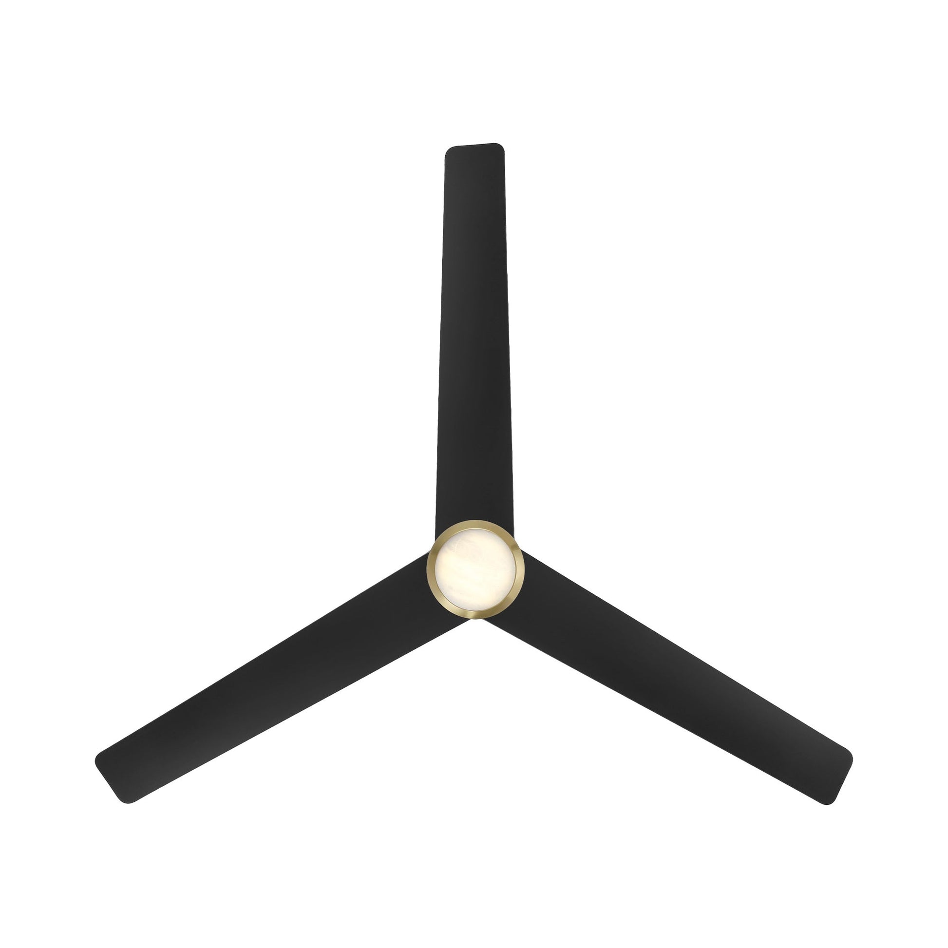 Pisces Outdoor LED Ceiling Fan in Detail.