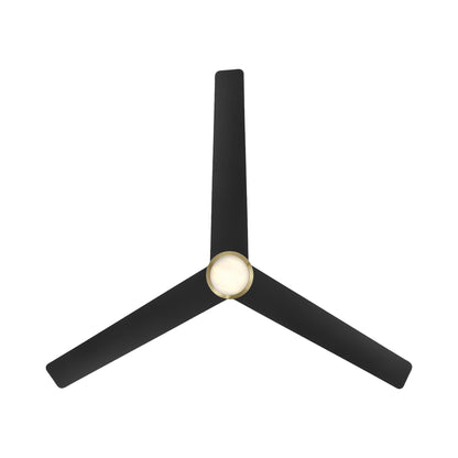 Pisces Outdoor LED Ceiling Fan in Detail.
