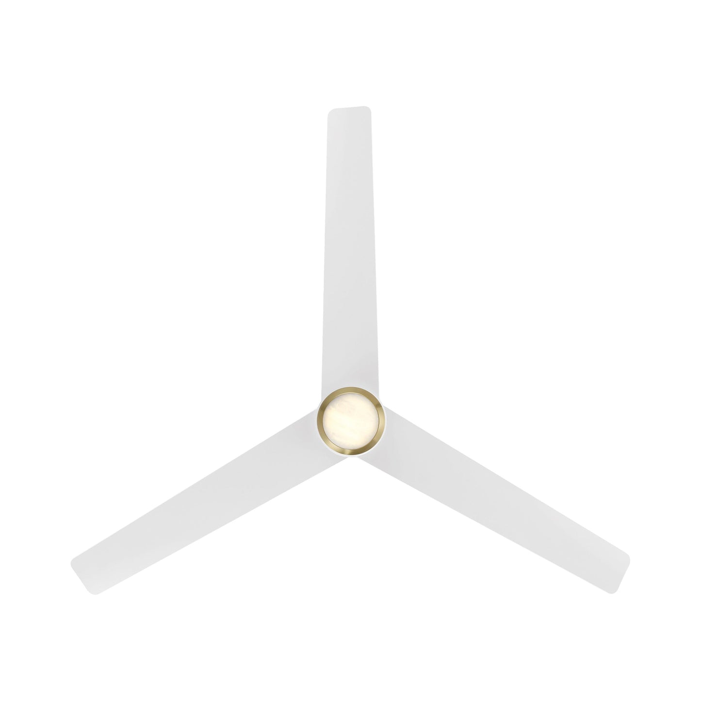 Pisces Outdoor LED Ceiling Fan in Detail.