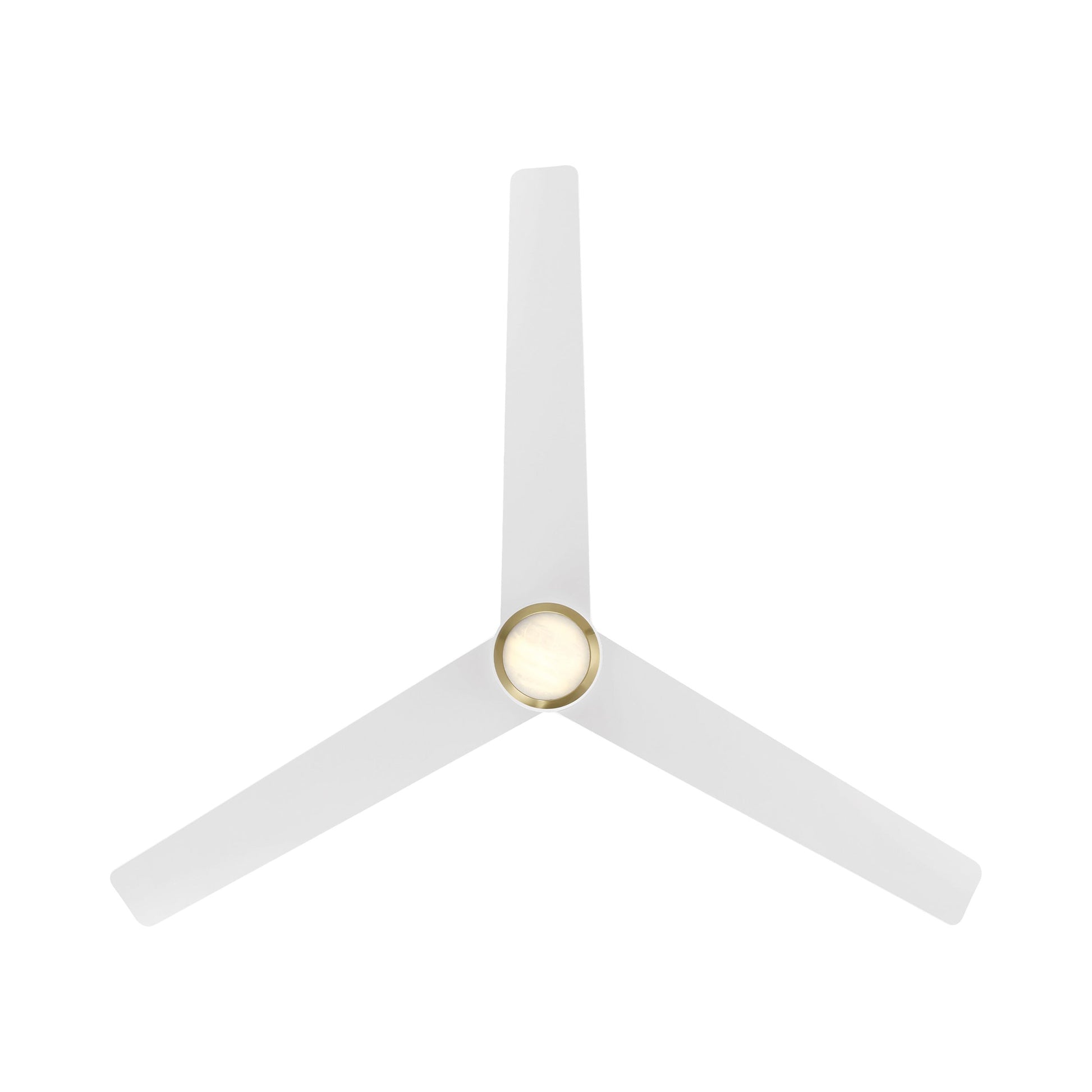 Pisces Outdoor LED Ceiling Fan in Detail.