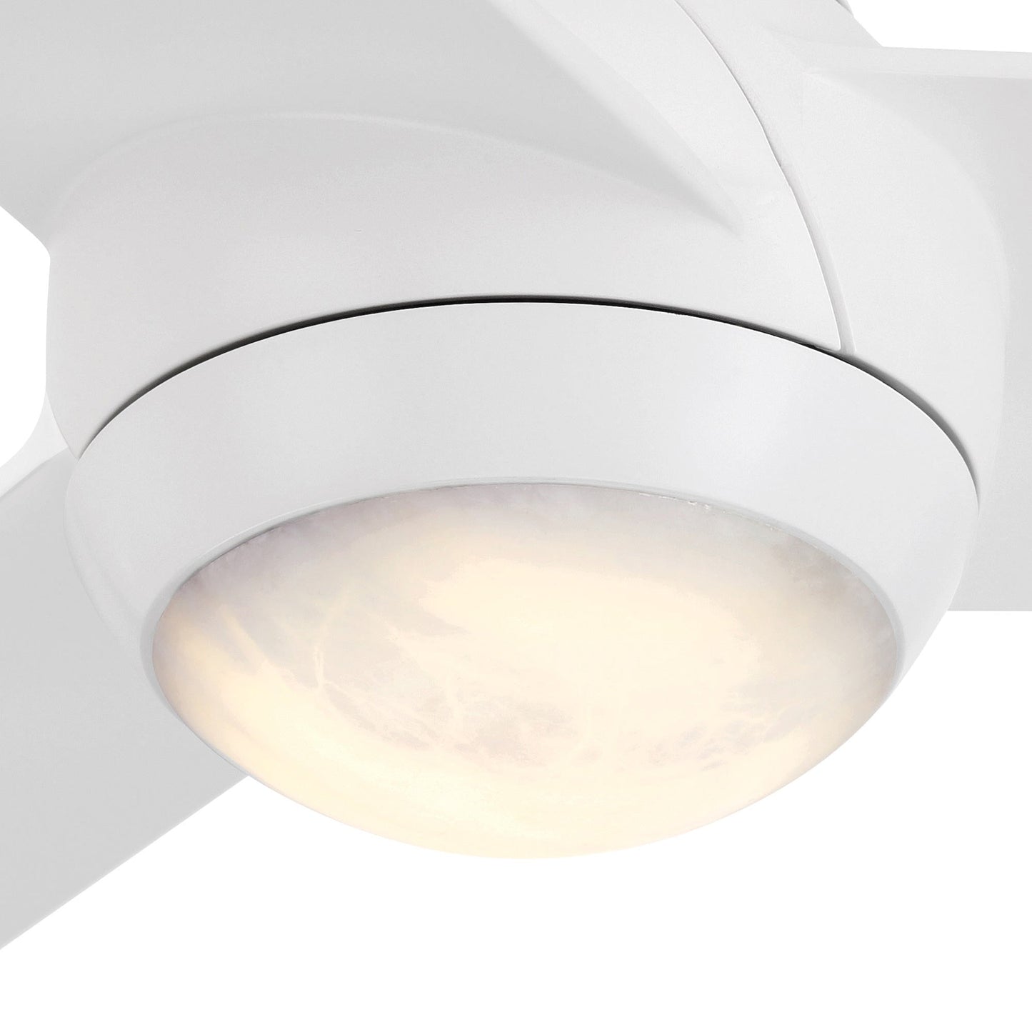 Pisces Outdoor LED Ceiling Fan in Detail.