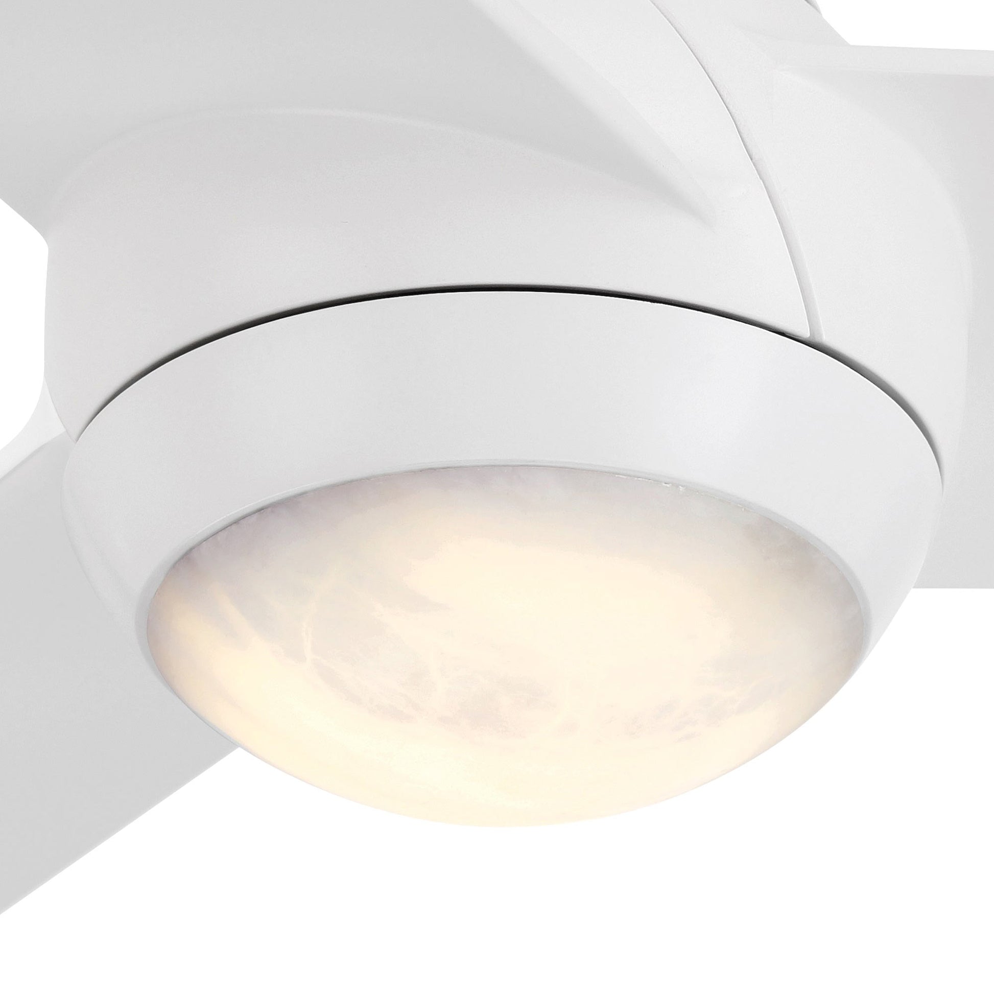 Pisces Outdoor LED Ceiling Fan in Detail.