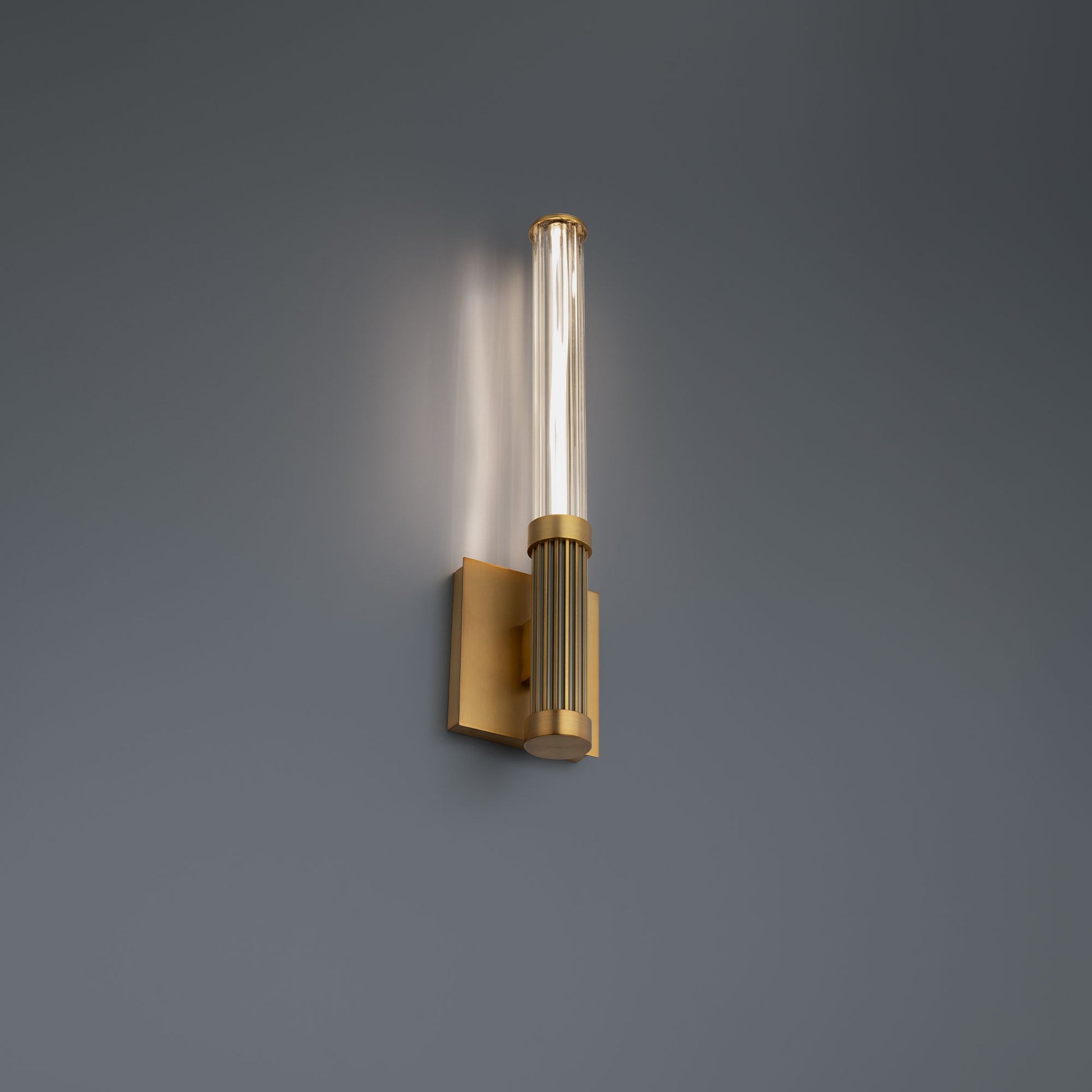 Ribeye LED Wall Light in Detail.