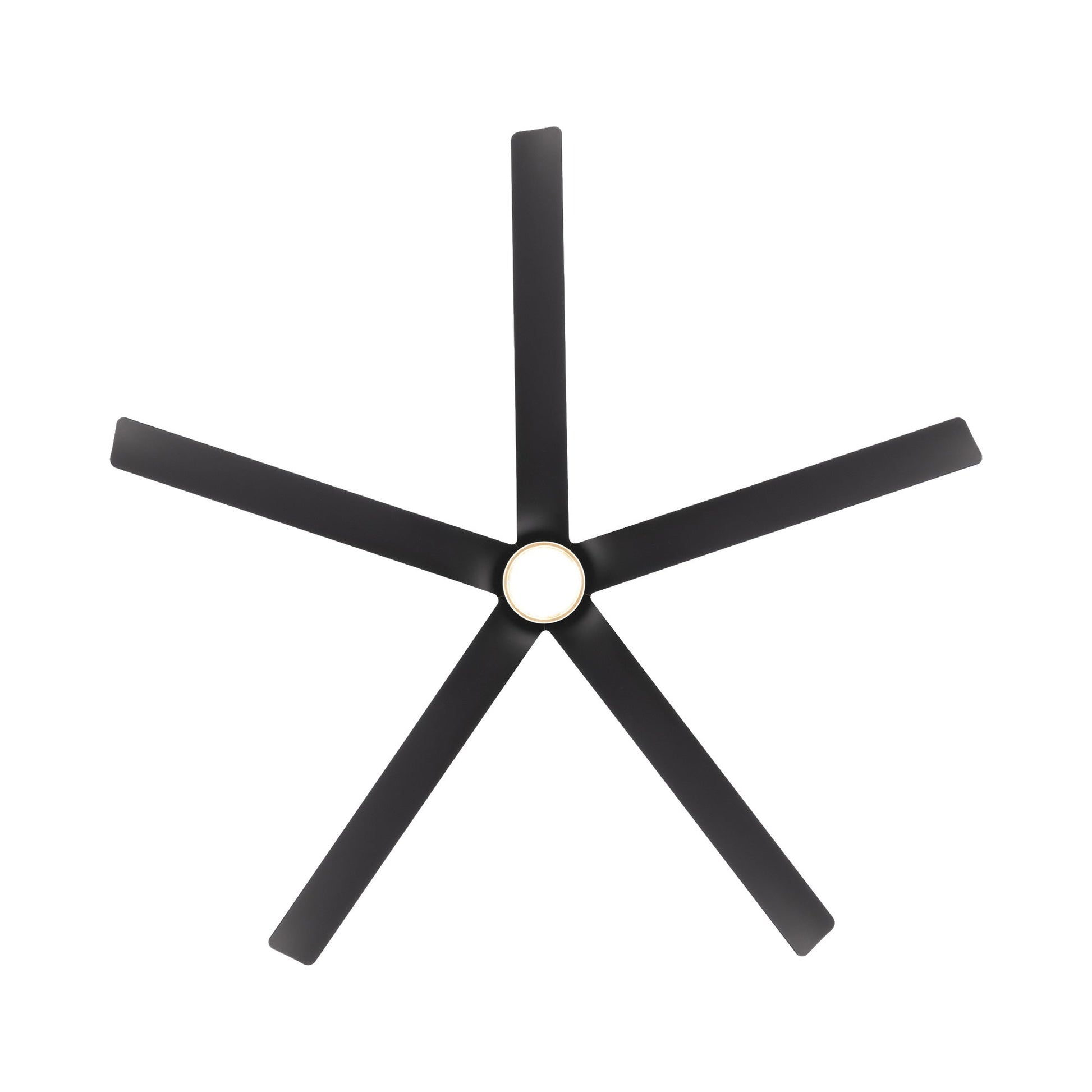Smooth 5 LED Ceiling Fan in Detail.