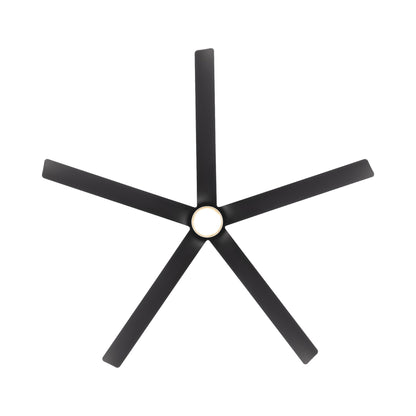 Smooth 5 LED Ceiling Fan in Detail.
