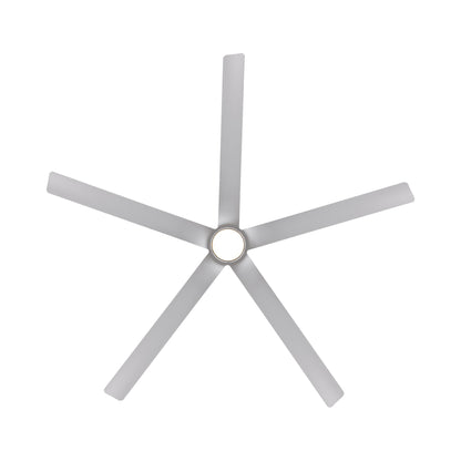 Smooth 5 LED Ceiling Fan in Detail.