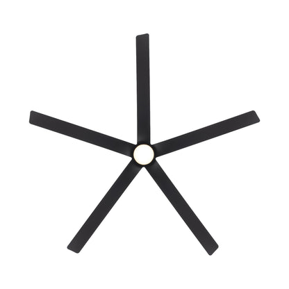Smooth 5 LED Ceiling Fan in Detail.
